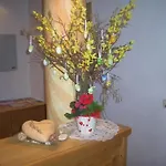 Aparthotel Garni Am Johannesbrunnen 4*