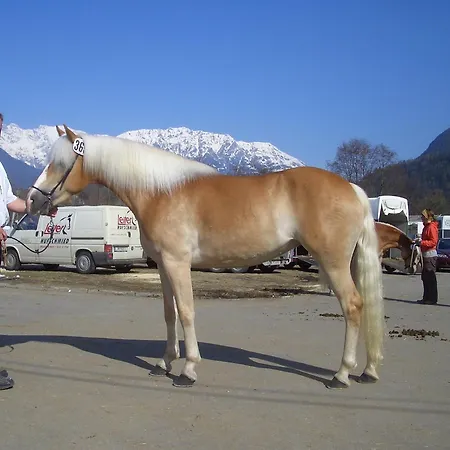 Apart Otel Garni Am Johannesbrunnen 4*